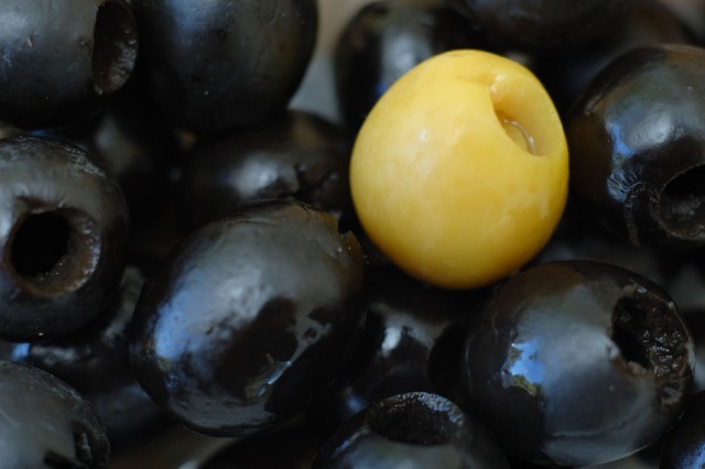 the black olives.jpg